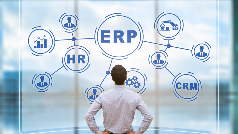 Integrated Innovation: Strategies for Success with ERP Systems