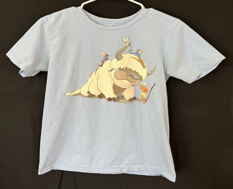 Behind the Scenes: Designing the Latest Appa Official Merchandise